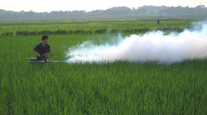 Portable Chemical Pest Control Thermal Fogging Machine/Agriculture Portable Insects Killing/ Chemical Fogging Machine